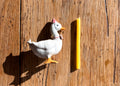 Heirloom Party Goose Ceramic Cake Topper
