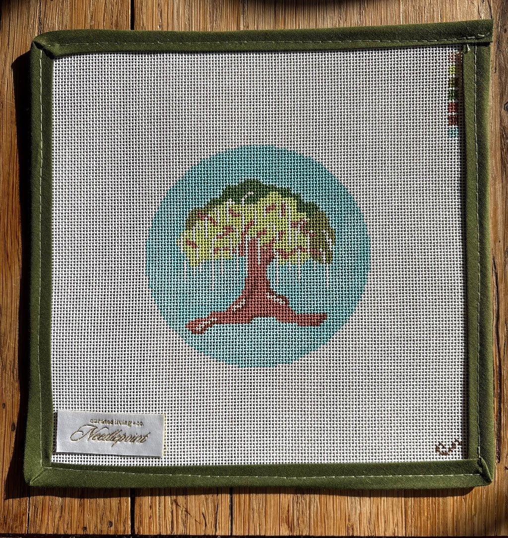 Toomer’s Corner Tree Auburn Canvas